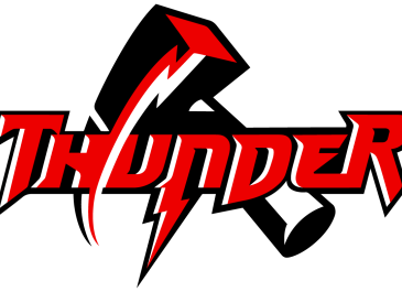 Medina High School Logo