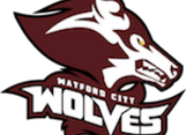 Watford City High School Logo